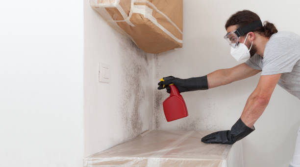 Professional Mold Testing technician working in Lovettsville, VA